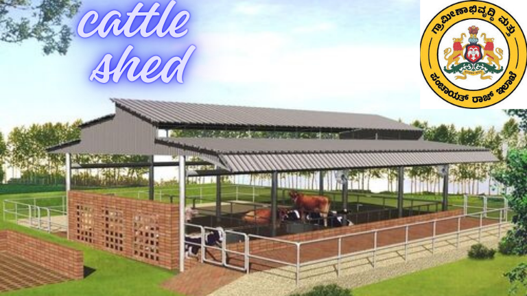 Cattle Shed Subsidy 2026